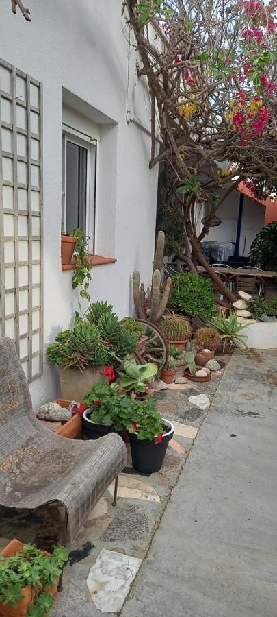 Can Juvimar El Poble Nou del Delta Ngoại thất bức ảnh