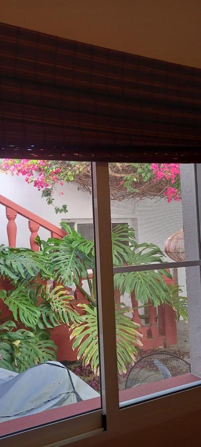 Can Juvimar El Poble Nou del Delta Ngoại thất bức ảnh