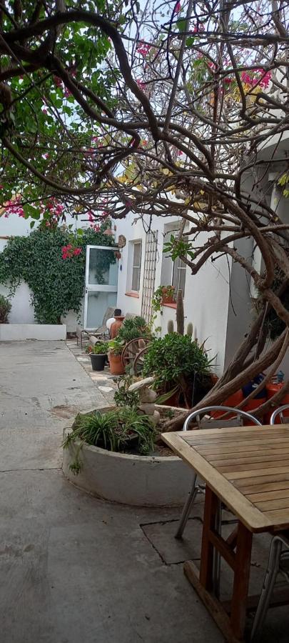 Can Juvimar El Poble Nou del Delta Ngoại thất bức ảnh